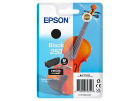Inktcartridge Epson 250 T16N14 zwart