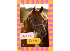 Wenskaart Hallmark uitnodiging paarden pak à 6 stuks