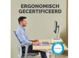Polssteun Fellowes Breyta palm grijs