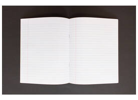 Schrift Kangaro A5 lijn 80 pagina's 60gr pastel assorti 10 stuks