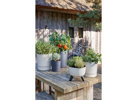 Plantenpot Mica Coco met schotel rond hoogte 23,5 Ø22,5 cm beige