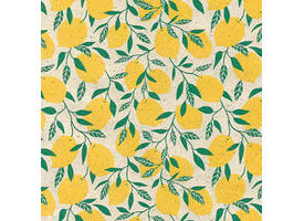 Apparaatrol Little Lemon 30cmx200m