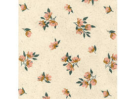 Inpakpapier Rotolux Rosie 200x70cm assorti
