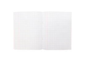 Schrift Kangaro A5 ruit 10mm 80 pagina's 60 gram assorti pastel 10st