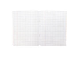 Schrift kangaro A5 ruit 10mm 80 pagina's 60 gram zwart pak à 10 stuks