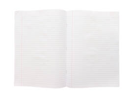 Schrift Kangaro A4 lijn 80 pagina's 60gr assorti pak à 5 stuks