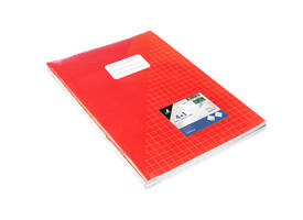 Schrift Kangaro A4 ruit 10mm 80 pagina's 60gr assorti pak  à 5 stuks