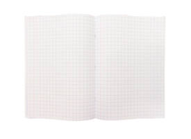 Schrift Kangaro A4 ruit 10mm 80 pagina's 60gr assorti pak  à 5 stuks