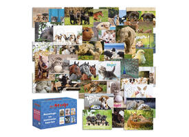 Beloningskaarten De Stulp dierenmix