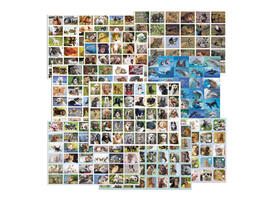 Belongingsstickermix De Stulp thema dieren assorti