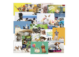 Beloningsposter-kaart De Stulp  thema dieren A4 assorti