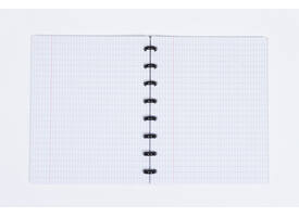 Schrift Kangaro 169x213mm ruit 4x8mm 144pag 90g ass 3 kleur krimp 12st
