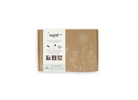 Giftbox Blossombs wilde bloemzaden box à 7 zaadbommetjes