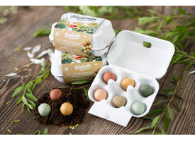 Giftbox Blossombs bloemen eierdoosje à 6 zaadbommetjes