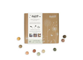 Giftbox Blossombs wilde bloemzaden box à 9 zaadbommetjes