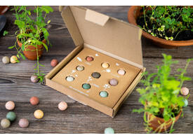 Giftbox Blossombs wilde bloemzaden box à 9 zaadbommetjes