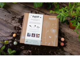 Giftbox Blossombs wilde bloemzaden box à 9 zaadbommetjes