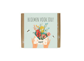 Giftbox Blossombs Bloemen voor jou box à 9 zaadbommetjes