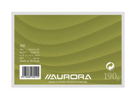 Systeemkaart Aurora 150x100mm blanco 190gr wit 100 vel