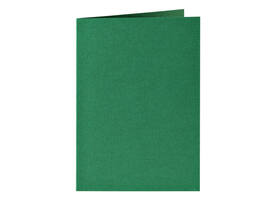 Correspondentiekaart Papicolor dubbel 105x148mm dennengroen pak à 6 stuks