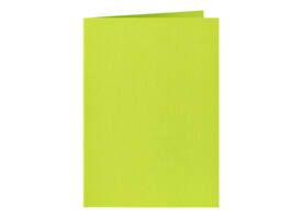 Correspondentiekaart Papicolor dubbel 105x148mm appelgroen pak à 6 stuks