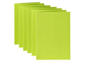 Correspondentiekaart Papicolor dubbel 105x148mm appelgroen pak à 6 stuks