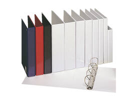 Presentatieringband Esselte Essentials panorama A4 4-rings D-mechaniek 20mm wit