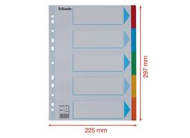 Tabbladen Esselte Standaard A4 5-delig karton 11-rings met voorblad assorti