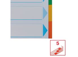 Tabbladen Esselte Standaard A4 5-delig karton 11-rings met voorblad assorti