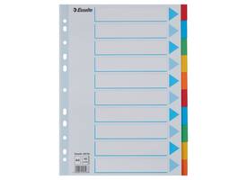 Tabbladen Esselte Standaard A4 10-delig karton 11-rings met voorblad assorti
