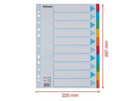 Tabbladen Esselte Standaard A4 10-delig karton 11-rings met voorblad assorti
