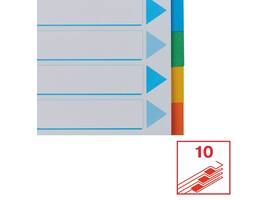 Tabbladen Esselte Standaard A4 10-delig karton 11-rings met voorblad assorti