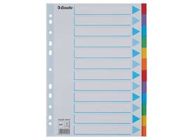 Tabbladen Esselte Standaard A4 12-delig karton 11-rings met voorblad assorti