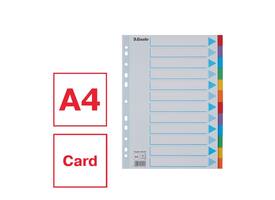 Tabbladen Esselte Standaard A4 12-delig karton 11-rings met voorblad assorti