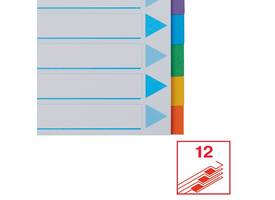 Tabbladen Esselte Standaard A4 12-delig karton 11-rings met voorblad assorti