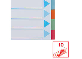 Tabbladen Esselte Premium A4 10-delig karton 23-rings assorti
