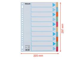Tabbladen Esselte Premium A4 10-delig karton 23-rings assorti
