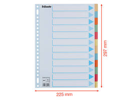 Tabbladen Esselte Premium A4 12-delig karton 23-rings assorti