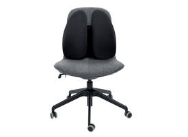 Rugsteun Kensington smartfit zwart