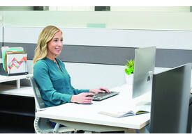 Ergonomische muis Fellowes Penguin draadloos medium