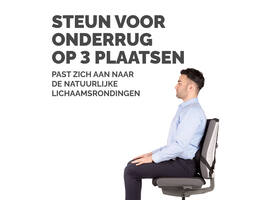 Rugsteun Fellowes Pro Ultieme
