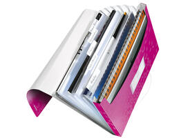 Projectmap Leitz WOW voor A4 6 vaks PP roze