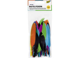Indianen veren Folia assorti
