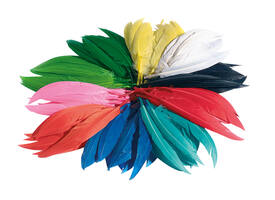 Indianen veren Folia assorti