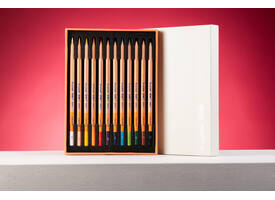 Kleurpotloden Bruynzeel Design met luxe bewaardoos assorti 12 stuks