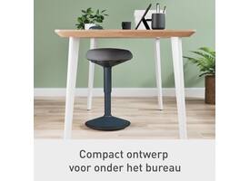 Actieve zitkruk Leitz Ergo met gasveer 47-64cm