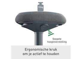 Actieve zit-stakruk Leitz Ergo met gasveer 57-82cm zwart