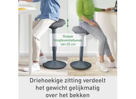 Actieve zit-stakruk Leitz Ergo met gasveer 57-82cm zwart