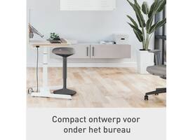 Actieve zit-stakruk Leitz Ergo met gasveer 57-82cm zwart
