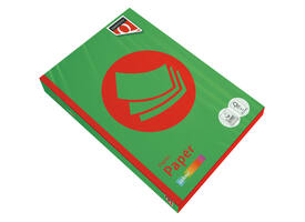 Kopieerpapier Quantore Colour A4 120gr grasgroen 250 vel